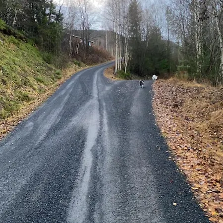 Lite Hus I Vestre بيت للعطل *