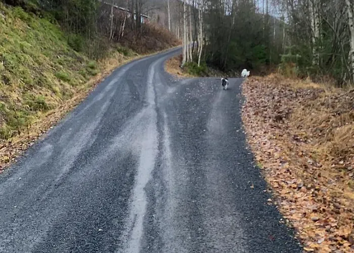 Lite Hus I Vestre Vakantiehuis *